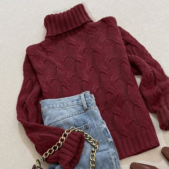 Burgundy Casual Women's Comfortable Twisted Rope print Textured highneck sweater - Picture 4 of 5